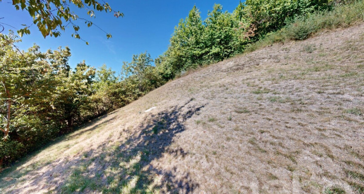 Magnifique terrain constructible de 893 m² à Flanthey (Lens) image 5