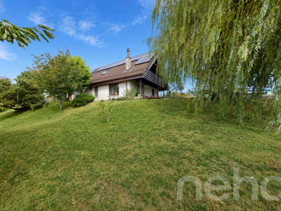 Agréable 4.5p avec 1043 m2 de jardin privatif image 11