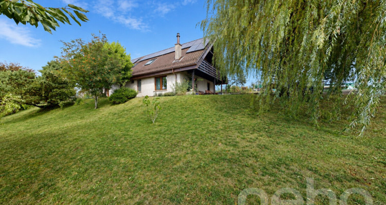 Agréable 4.5p avec 1043 m2 de jardin privatif image 11