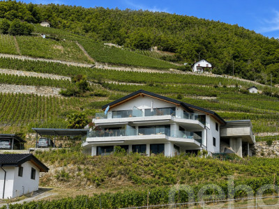 Magnifique 3.5 pièces avec grande terrasse et jardin image 1