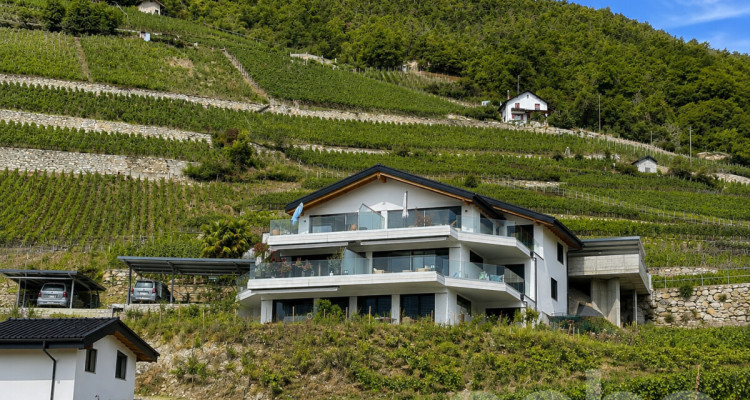 Magnifique 3.5 pièces avec grande terrasse et jardin image 1