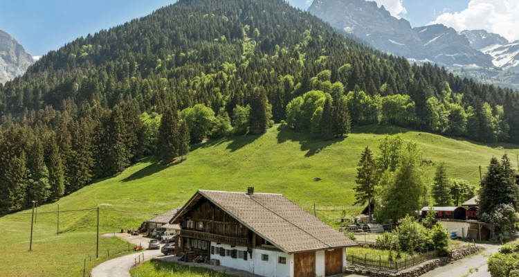 Authentique chalet au Grand-Paradis image 1