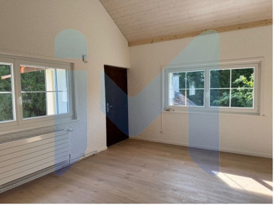 RAVISSANT DUPLEX 3.5 PIÈCES RÉNOVÉ EN 2025, AU CŒUR DE LA NATURE image 3