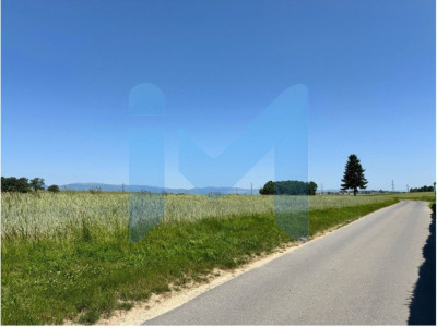 RAVISSANT DUPLEX 3.5 PIÈCES RÉNOVÉ EN 2025, AU CŒUR DE LA NATURE image 12