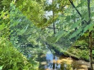 RAVISSANT DUPLEX 3.5 PIÈCES RÉNOVÉ EN 2025, AU CŒUR DE LA NATURE image 13