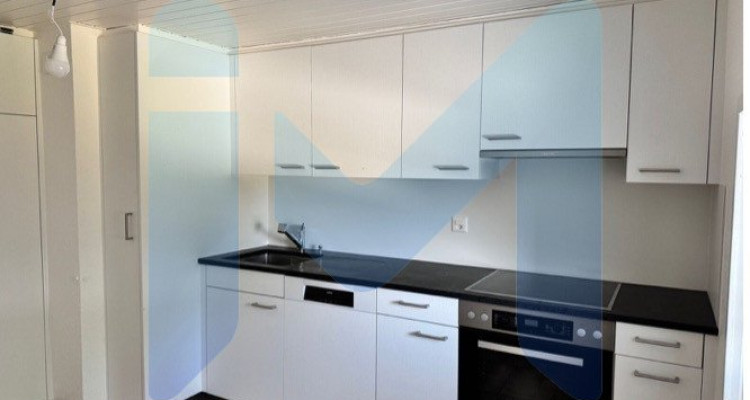 RAVISSANT DUPLEX 3.5 PIÈCES RÉNOVÉ EN 2025, AU CŒUR DE LA NATURE image 8