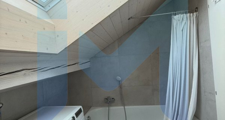 RAVISSANT DUPLEX 3.5 PIÈCES RÉNOVÉ EN 2025, AU CŒUR DE LA NATURE image 11