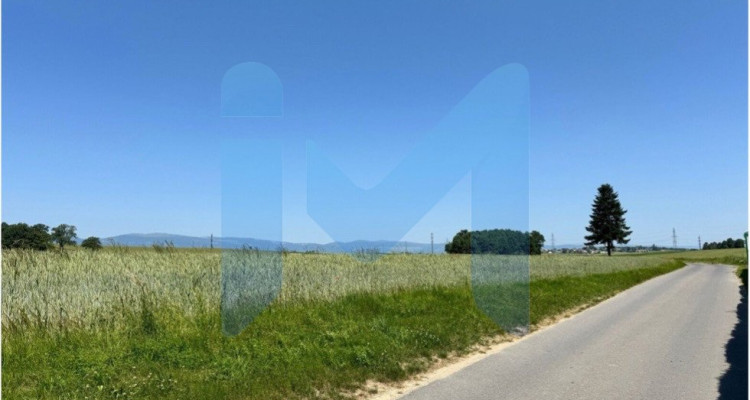 RAVISSANT DUPLEX 3.5 PIÈCES RÉNOVÉ EN 2025, AU CŒUR DE LA NATURE image 12