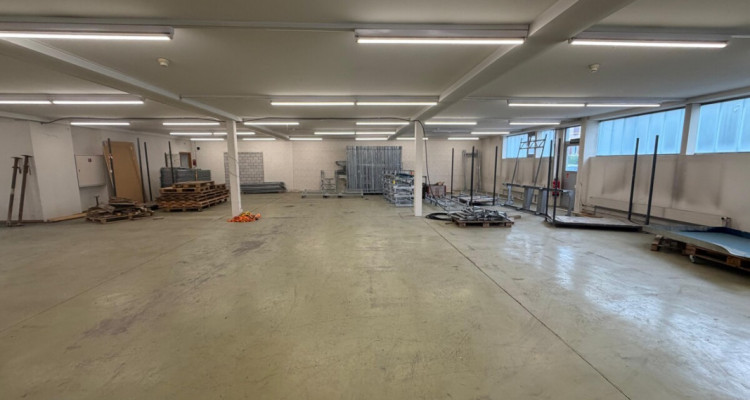 350 m2 Lagerfläche in Romanshorn  ideal für Handwerk & Gewerbe image 2