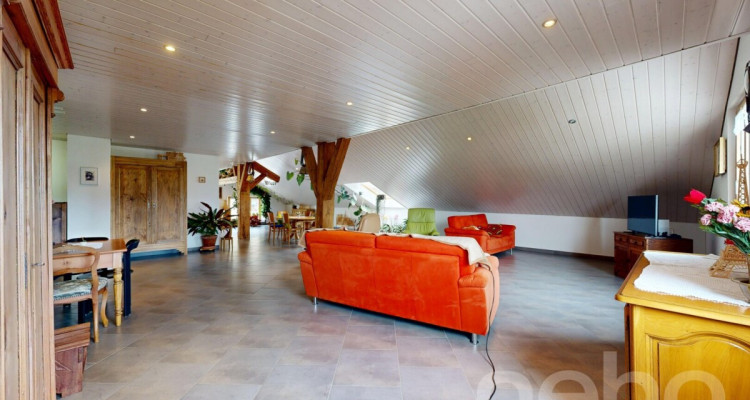Maison de 380 m² avec fort potentiel de rendement image 8