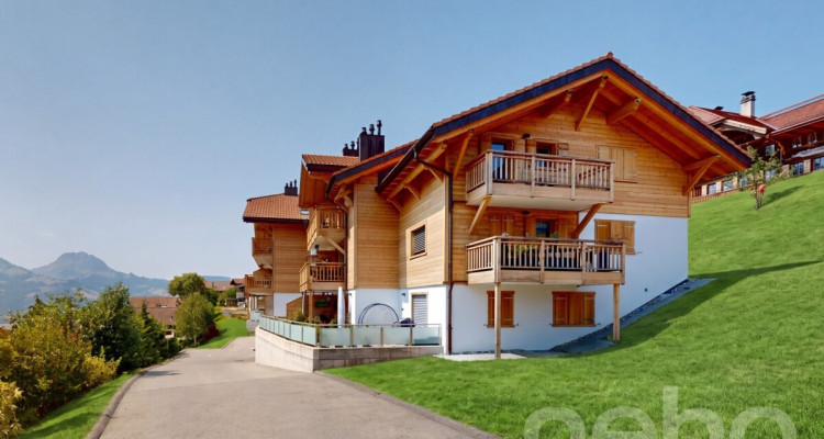 Un balcon XXL face aux Préalpes fribourgeoises image 1
