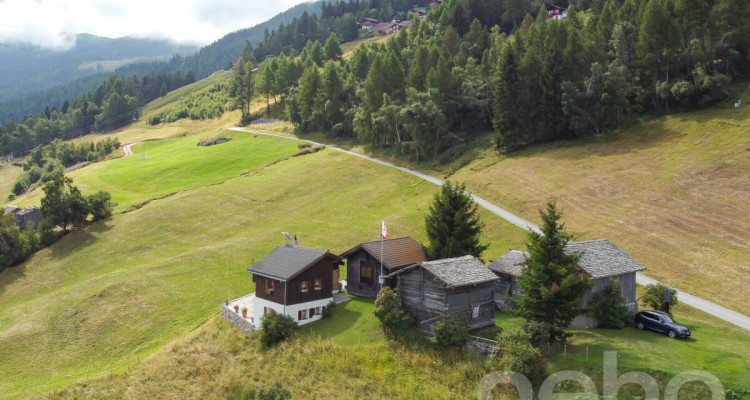 Magnifque Chalet à Unterbäch (VS) image 1