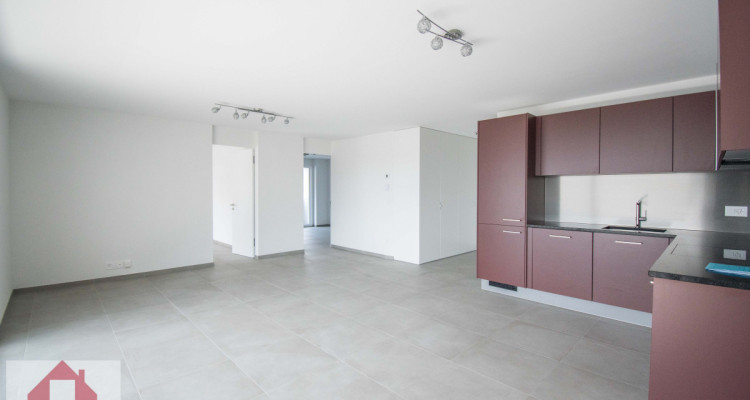 Magnifique appartement dans immeuble neuf ! image 2