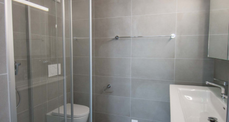 Magnifique appartement dans immeuble neuf ! image 7