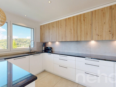 Duplex 4,5p avec jardin privatif, terrasses et vue lac image 5