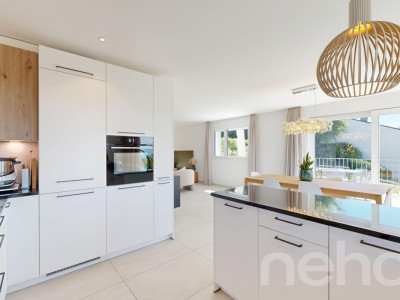 Duplex 4,5p avec jardin privatif, terrasses et vue lac image 11