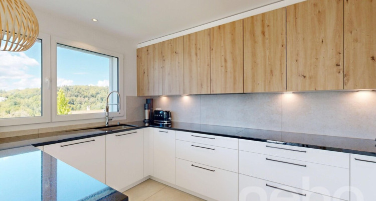 Duplex 4,5p avec jardin privatif, terrasses et vue lac image 5