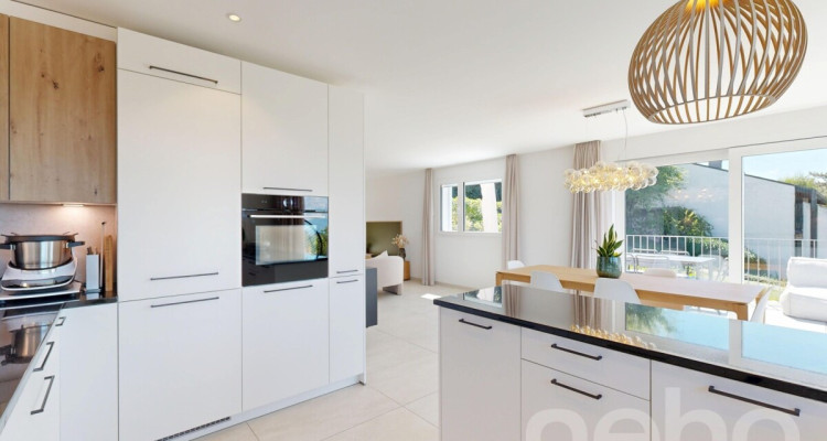 Duplex 4,5p avec jardin privatif, terrasses et vue lac image 11