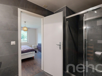 Magnifique duplex avec terrasse et jardin privatif image 12
