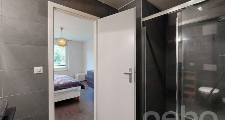 Magnifique duplex avec terrasse et jardin privatif image 12