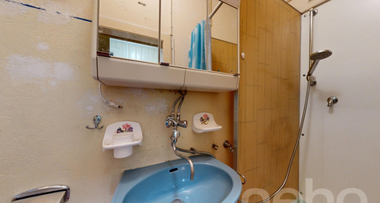 Maison à réinventer sur une parcelle de plus de 2700 m² image 12
