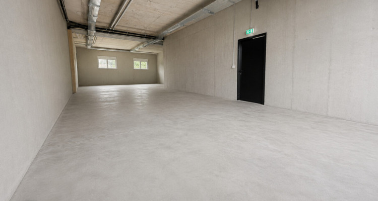 Neuwertige, beheizbare Lagerfläche mit 152 m² in Neukirch-Egnach image 1