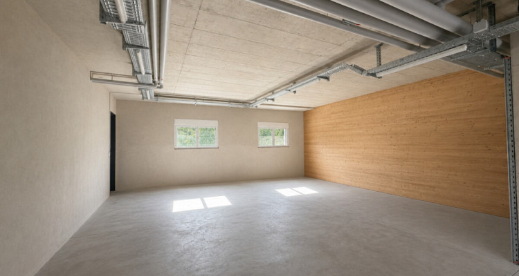 Neuwertige, beheizbare Lagerfläche mit 152 m² in Neukirch-Egnach image 3