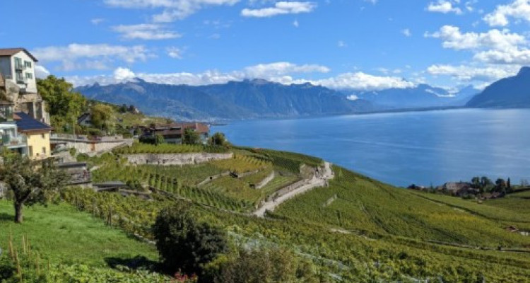 🏡 Magnifique villa neuve de 6.5 pièces vue panoramique sur le lac à Chexbres image 1