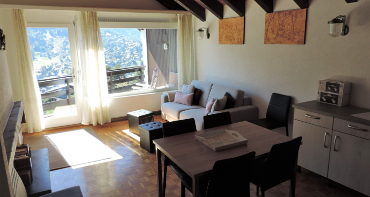 Appartement plein sud, 2 pièces sur le Mont de Vercorin - dès le 01.11.26 image 4