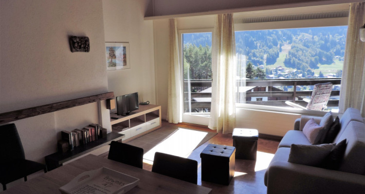 Appartement plein sud, 2 pièces sur le Mont de Vercorin - dès le 01.11.26 image 6