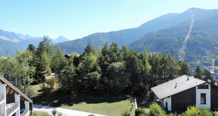 Appartement plein sud, 2 pièces sur le Mont de Vercorin - dès le 01.11.26 image 10