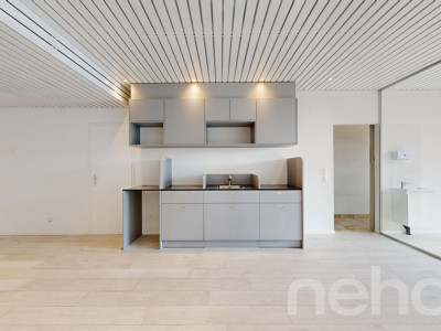 Immeuble mixte avec locaux commerciaux et appartement 3.5 pièces image 4