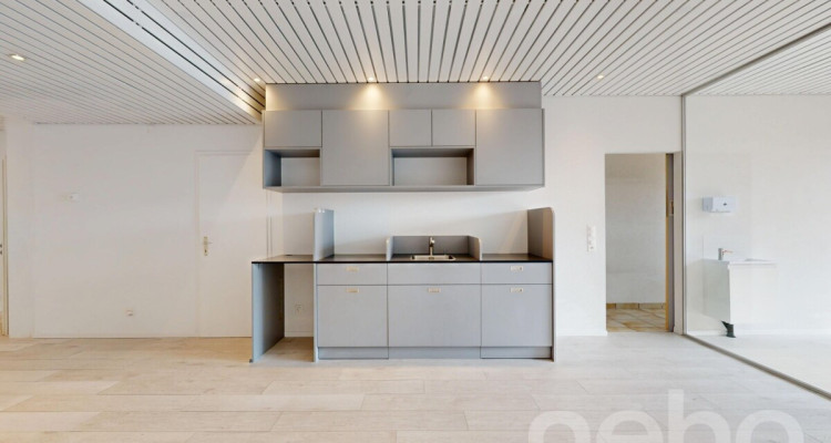 Immeuble mixte avec locaux commerciaux et appartement 3.5 pièces image 4
