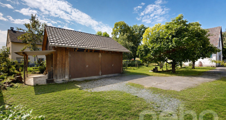 4.5-Zi-Einfamilienhaus mit grossem Grundstück in Hallau image 11
