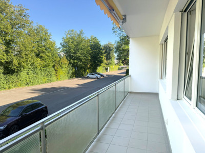 🌞Sunny garden flat on the Binninger Höhe🌿 image 6
