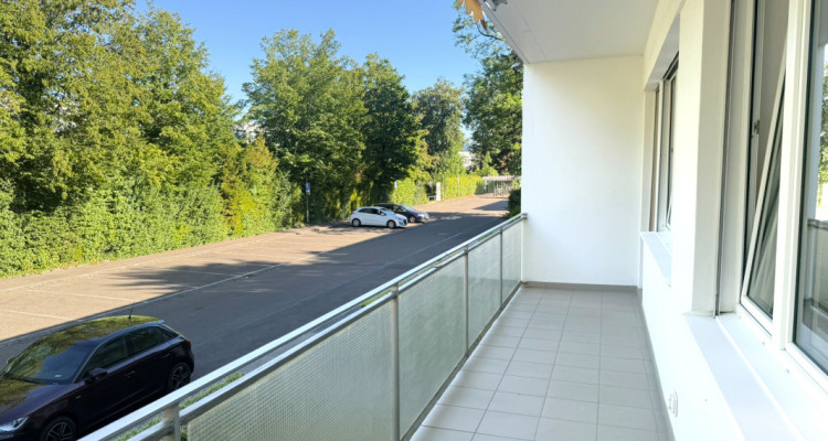 🌞Sunny garden flat on the Binninger Höhe🌿 image 6