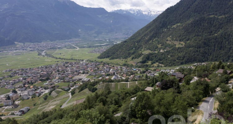 Superbe parcelle à Chamoson image 1