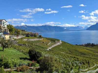 🏡 Magnifique villa neuve de 6.5 pièces vue panoramique sur le lac à Chexbres image 1