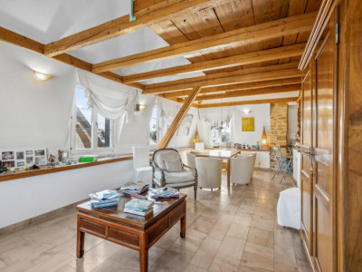 Conjuguer habitation, activité libérale ou investissement à deux pas du lac image 4
