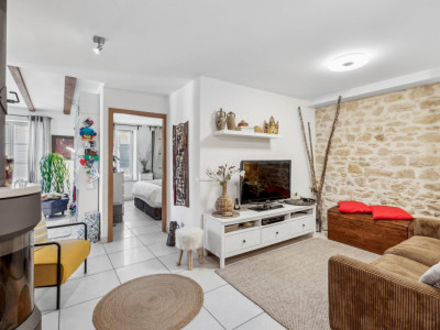 Conjuguer habitation, activité libérale ou investissement à deux pas du lac image 8