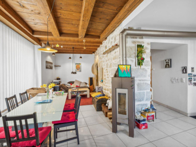 Conjuguer habitation, activité libérale ou investissement à deux pas du lac image 9