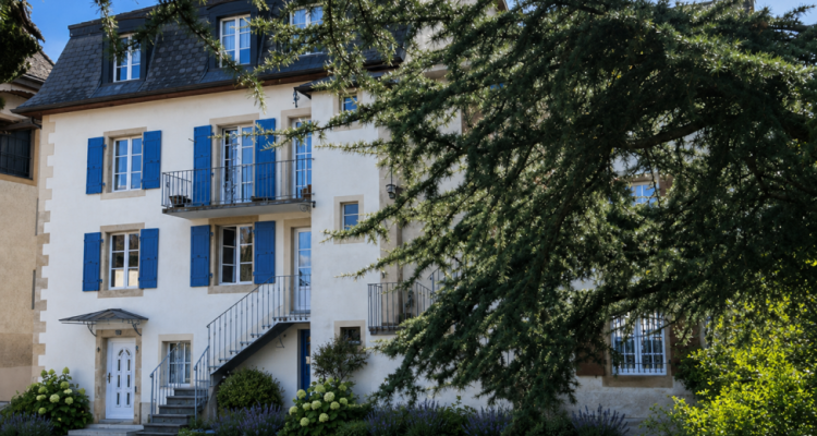 Conjuguer habitation, activité libérale ou investissement à deux pas du lac image 1