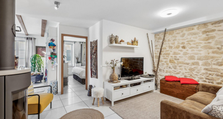 Conjuguer habitation, activité libérale ou investissement à deux pas du lac image 8