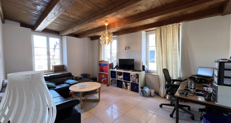Conjuguer habitation, activité libérale ou investissement à deux pas du lac image 12