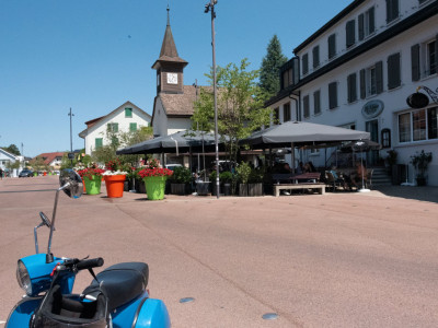 Vous travaillez à Lausanne ? ...votre jardin est à Cheseaux image 11