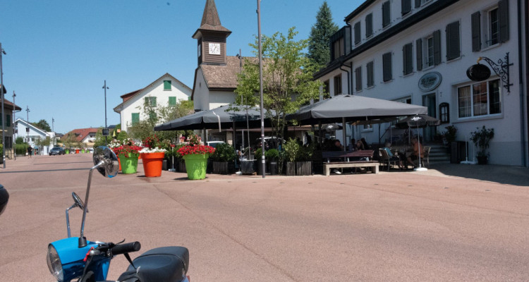 Vous travaillez à Lausanne ? ...votre jardin est à Cheseaux image 11