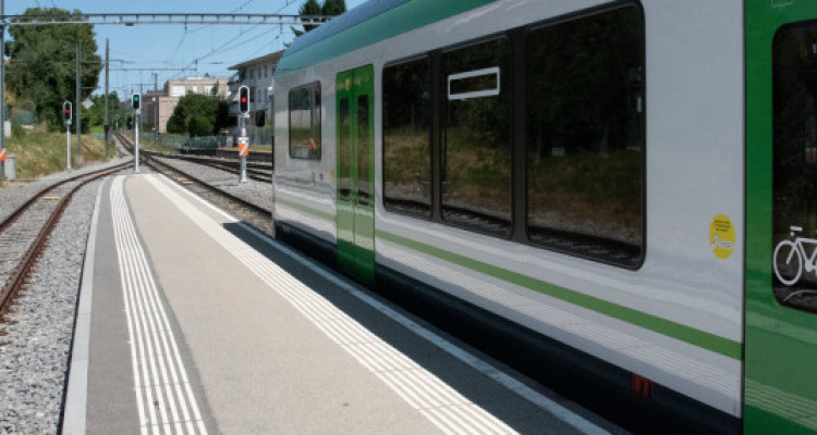 Vous travaillez à Lausanne ? ...votre jardin est à Cheseaux image 9