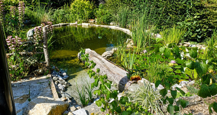 Entre parc naturel et vie urbaine : un havre dexception à Lausanne image 4