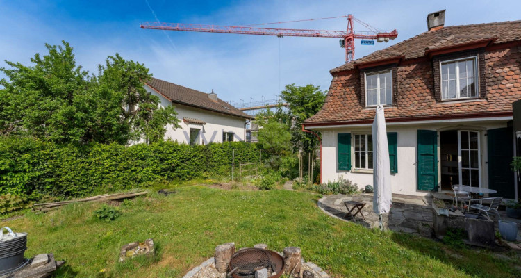 Exklusiver Schatz von hohem Wert image 11