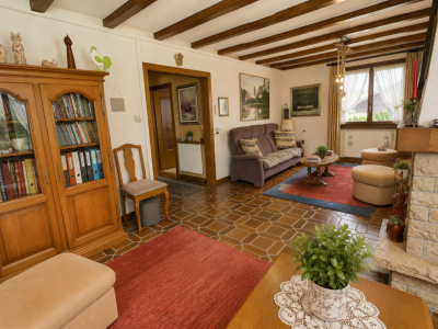 Magnifique maison individuelle en viager occupé sans rente avec vue sur le Jura image 10